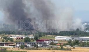 Огромен пожар гори край Околовръстното шосе в Пловдив (ВИДЕО)