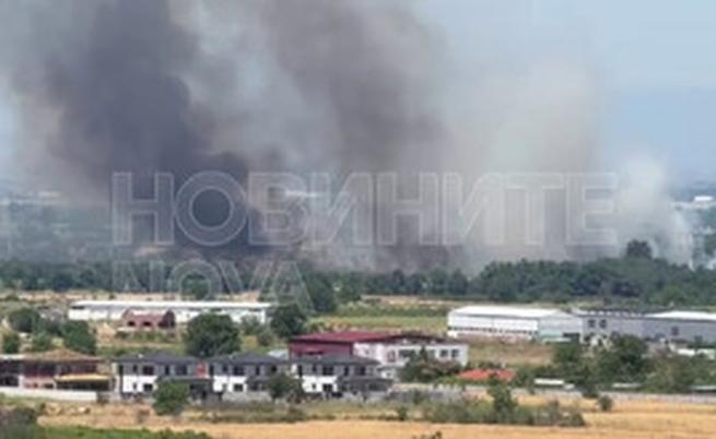 Огромен пожар гори край Околовръстното шосе в Пловдив (ВИДЕО)