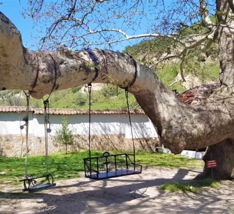 В двора на старинния храм Свети Георги в село Златолист