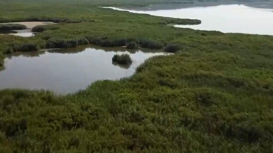 Рекордно ниският Дунав застраши „Сребърна“, започна спасителна операция за резервата