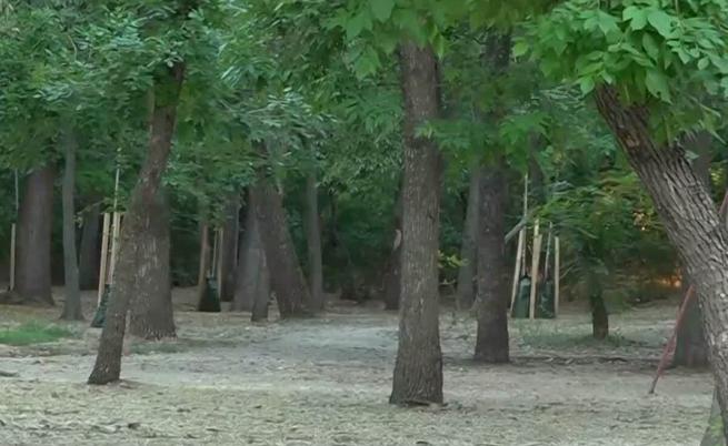 Смъртоносният побой в Пловдив: Какво се вижда на записите от камери