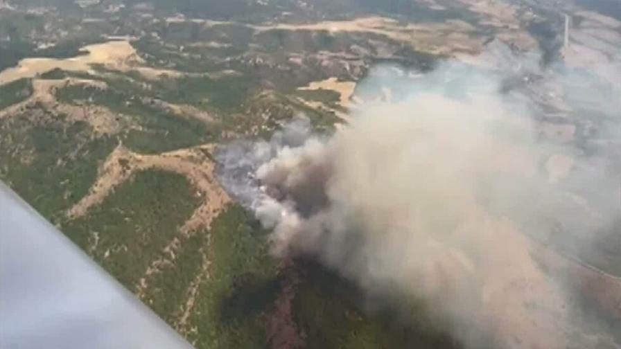 Пожар край Кюстендил: 300 декара гора са изпепелени, огънят тръгна към село