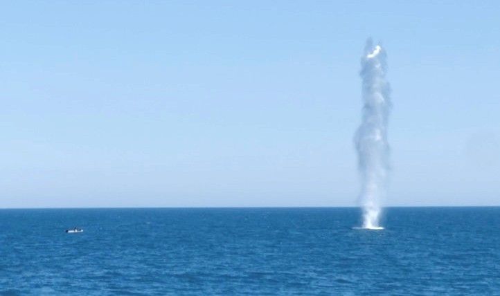 Дронове и мистериозен обект по Черноморието вдигнаха ВМС на крак