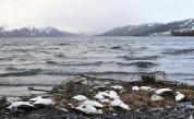 Арктически води край Аляска