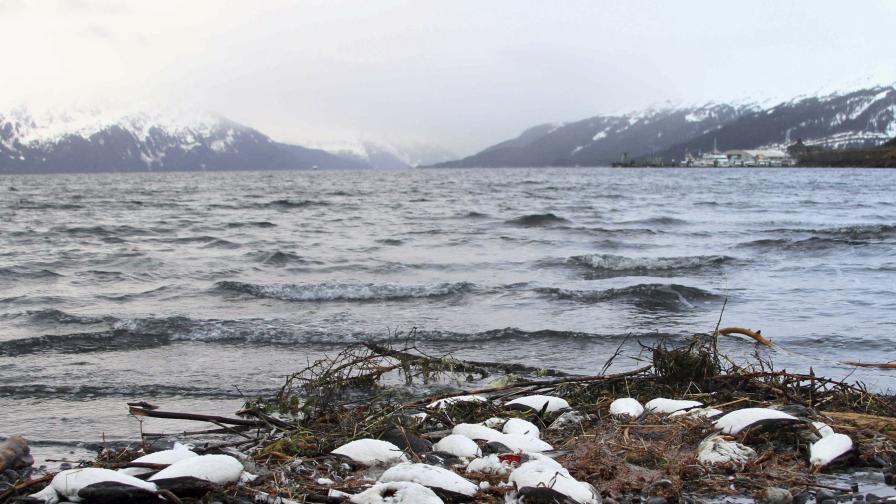 Арктически води край Аляска
