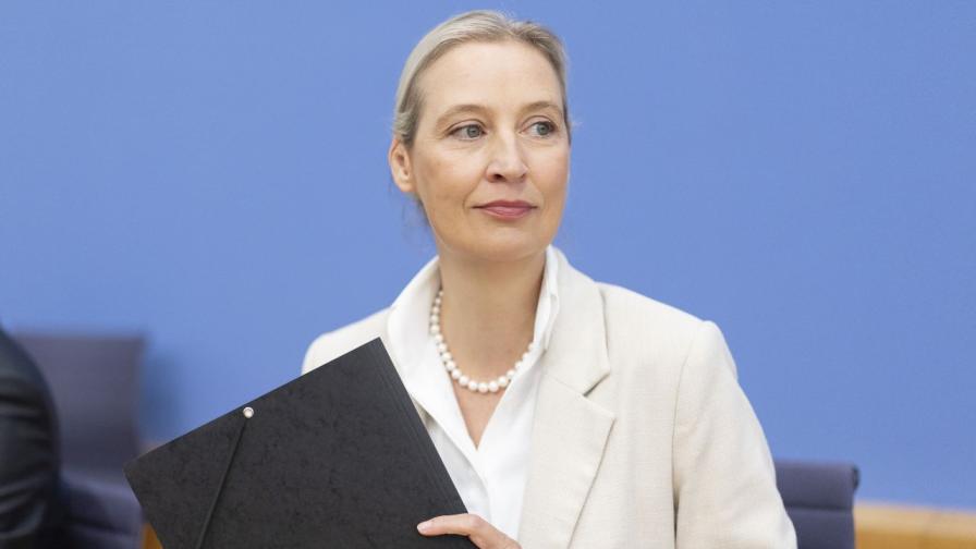 Алис Вайдел