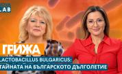 Българският Микробиом: Тайната на баланса за жената от града, скрита в Стара планина