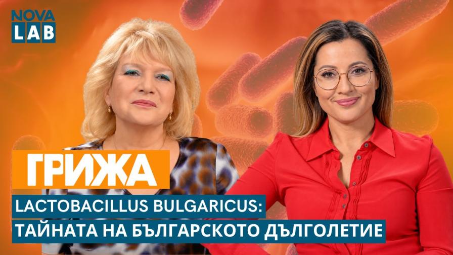 Българският Микробиом: Тайната на баланса за жената от града, скрита в Стара планина