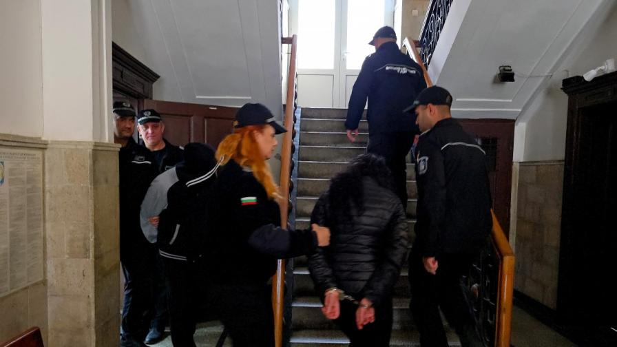 Осъдиха двойката, снимала мъчения над животни