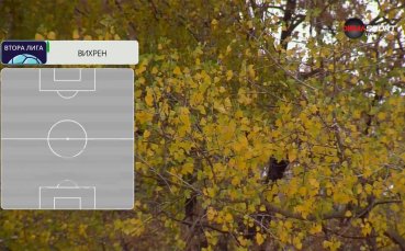 Рилски спортист - Вихрен /състави/