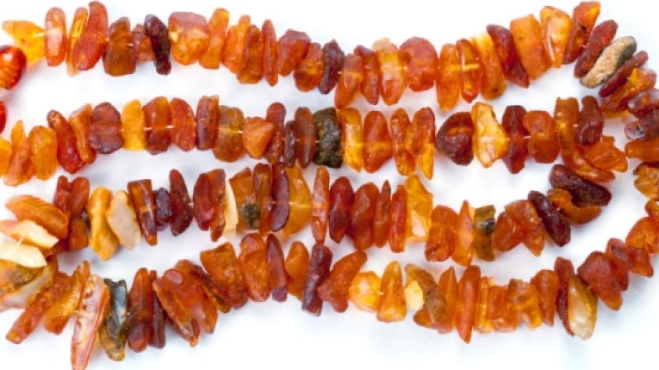 . Произход на кехлибара Кехлибарът се формира от смолите на