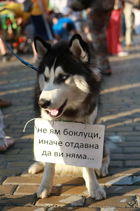 За девети ден десетки хиляди хора поискаха оставка на правителството. Според много от присъстващите на протеста той е бил най-многолюдният досега. От МВР няма информация колко хора са се включили в шествията.