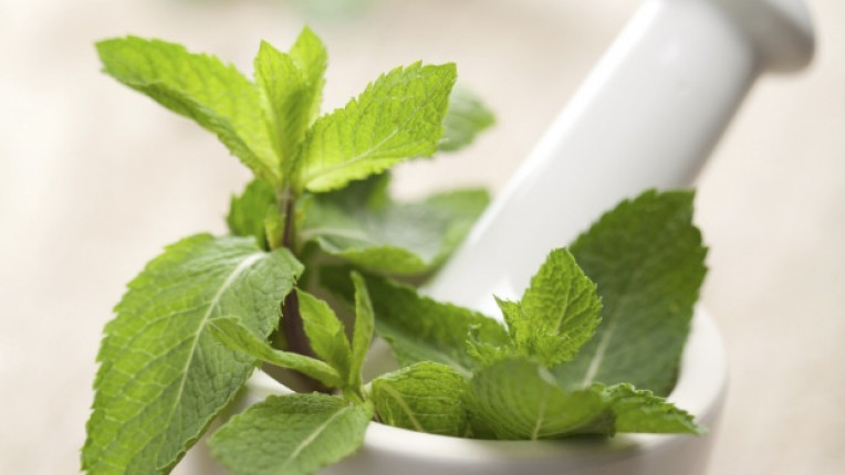  7 изгоди на ментата върху здравето и имунитета 