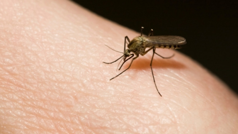 комари спрей защита насекоми как да лосион репелент етерично масло