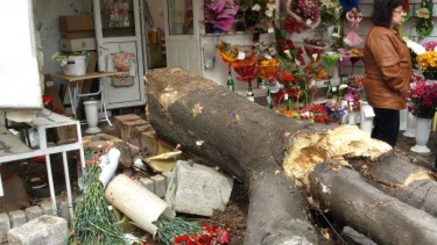 Двама българи загинаха, а един е ранен при вихрушка в Гърция