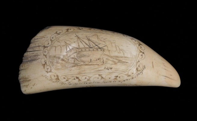 Гравиран китов зъб от пътешествието на Дарвин на търг