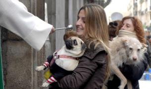В Испания път традиционно благославят кучетата по време на празника на техния светец патрон.