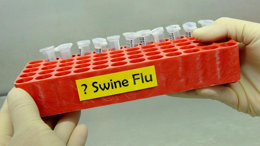 Свинският грип стигна и до Китай