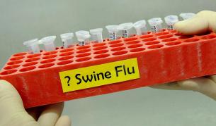 Свински грип и в Гърция