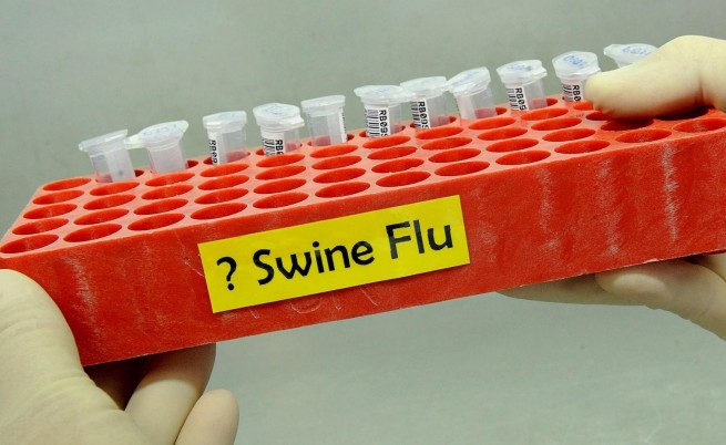 Свински грип и в Гърция