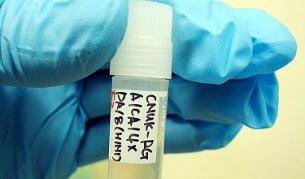 Как грипните вируси "успиват" имунната система