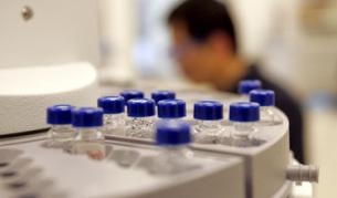 Българи откриха защо клетките остаряват