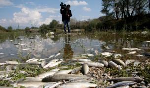 Мъртва риба в река Пиниос в Гърция.