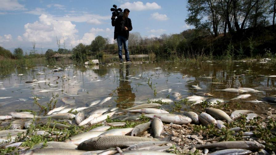 Мъртва риба в река Пиниос в Гърция.