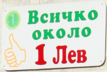 НСИ: Средният доход на човек в домакинство е 304,25 лв. през май