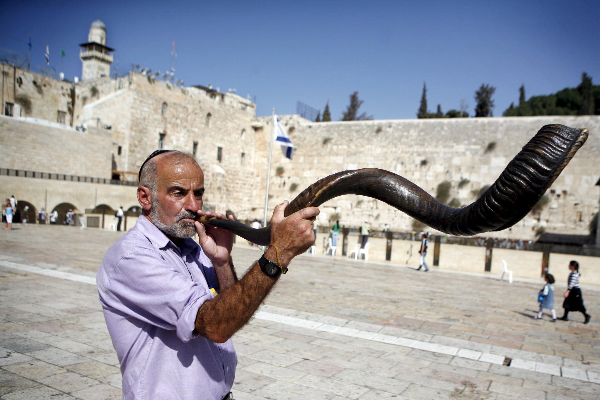 Летящи равини борят свинския грип в Израел