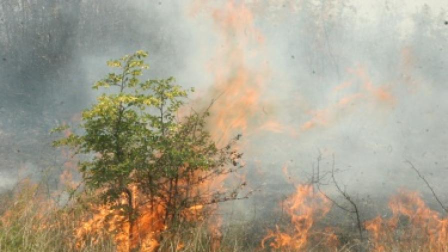 Военни гасят пожара край Симеоновград