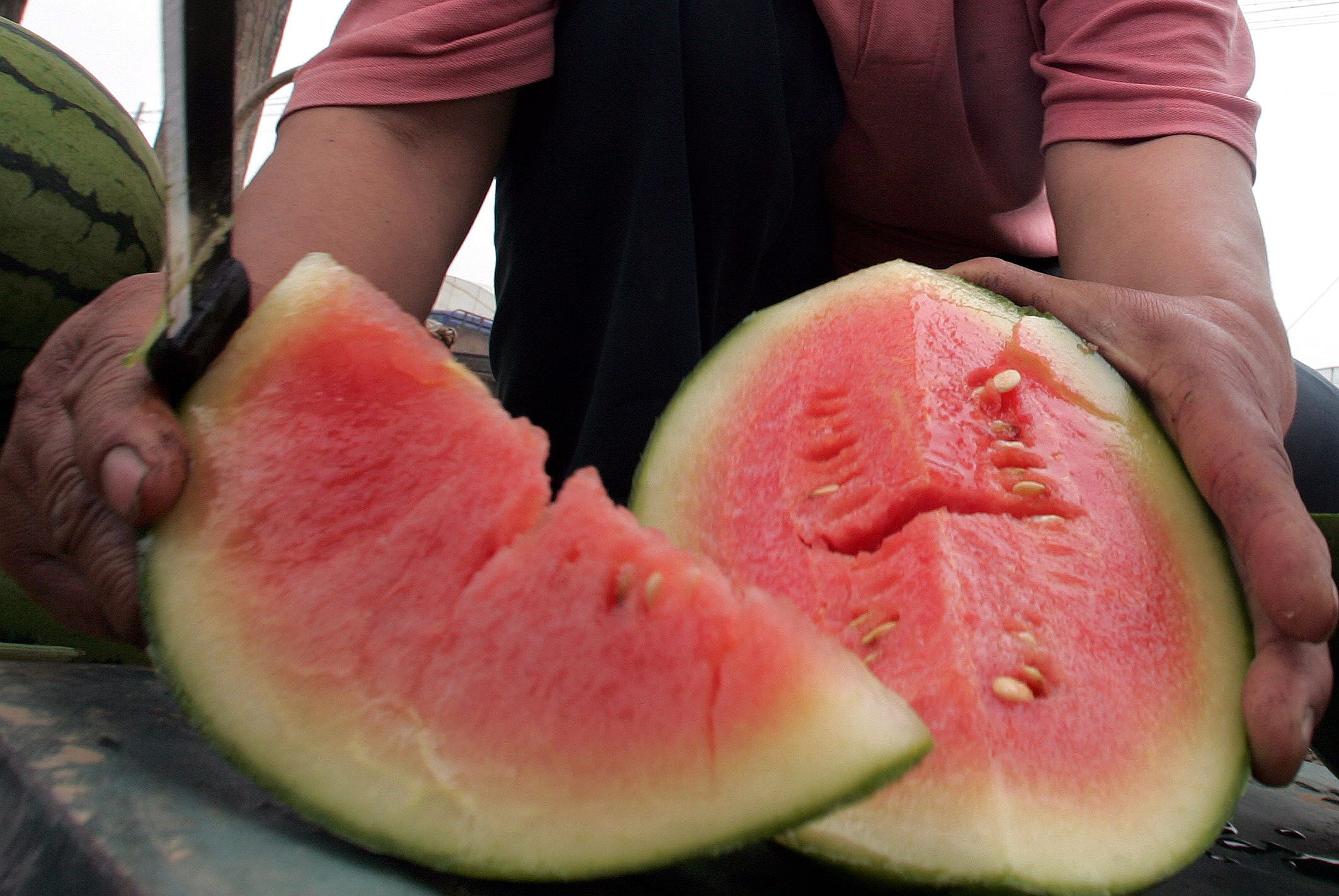 Динята - най-новото екологично гориво