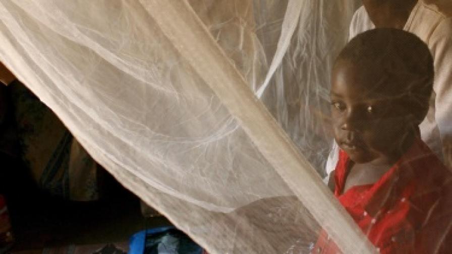Африка се обединява в борбата с маларията