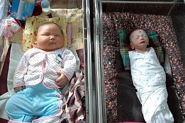 Бебе се превърна в туристическа атракция