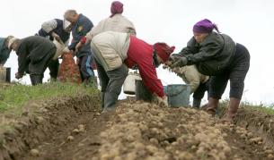 Един ден: Столетници с тела на 50-годишни