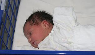 Малката Виолета