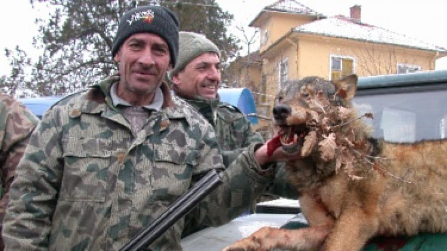 Ловци от русенско с убития от тях вълк
