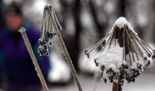 През следващите дни температурите рядко ще минават нулата