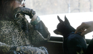 Всички трябва да са с билети в този софийски трамвай