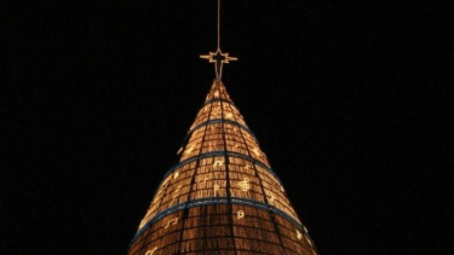Най-високата елха в света тази година беше мексиканската - 112 м. Тя беше изкуствена, разбира се