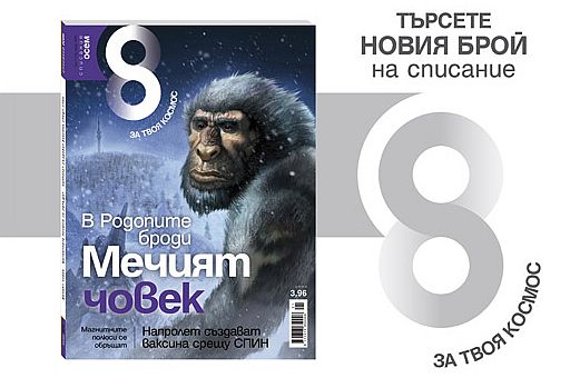 Всичко за Мечия човек в новото "8"