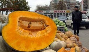 Маркетингът: България да заложи на екохраните