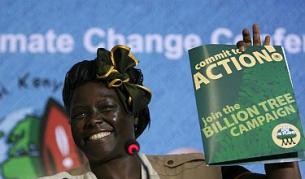 Вангари Маатаи през 2006 г.