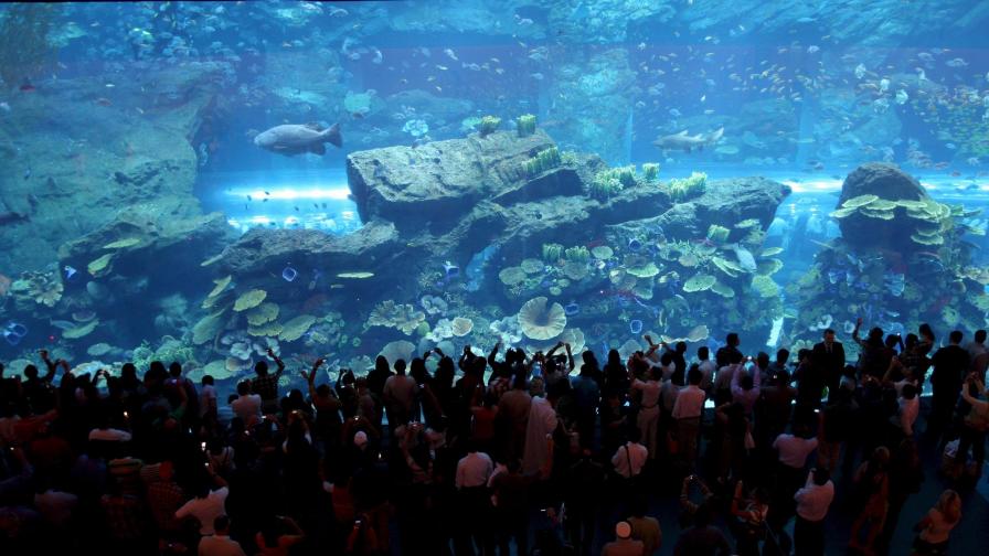 Пак кутсуз: Протече огромният аквариум в "Бурж Халифа"