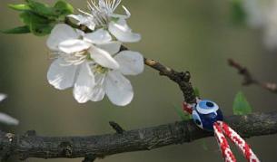 Понякога дръвчетата цъфват още през март