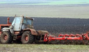 В Добруджа очакват добра реколта