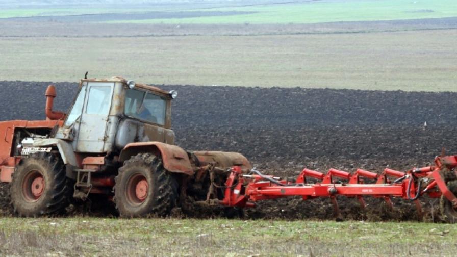 В Добруджа очакват добра реколта