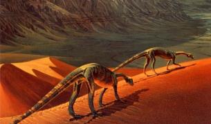 Рисунка на предполагаемия Seitaad ruessi