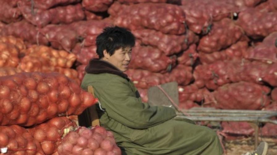 В Китай унищожават отровен лук