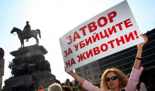10 април: От една до пет години затвор за насилници на животни поискаха протестиращи граждани в София